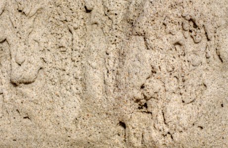 Sand Texture