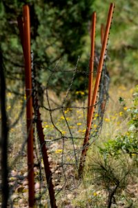 20190926-fs-lsc-0307 49752083706 o