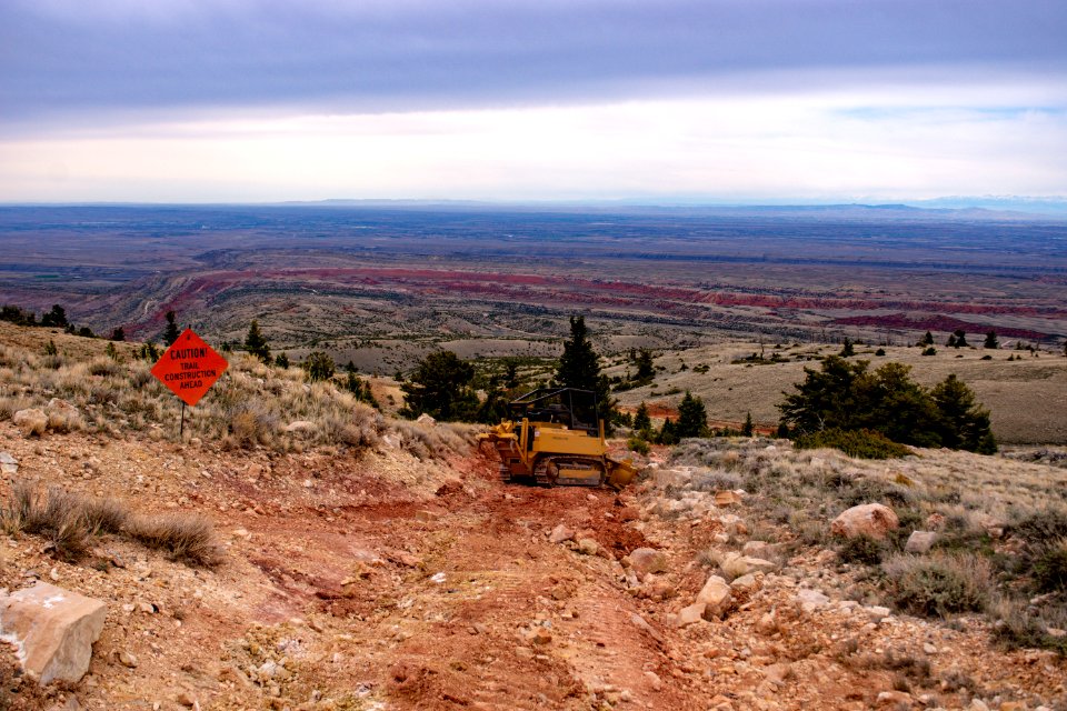 20200504 Pryor Mtns 104