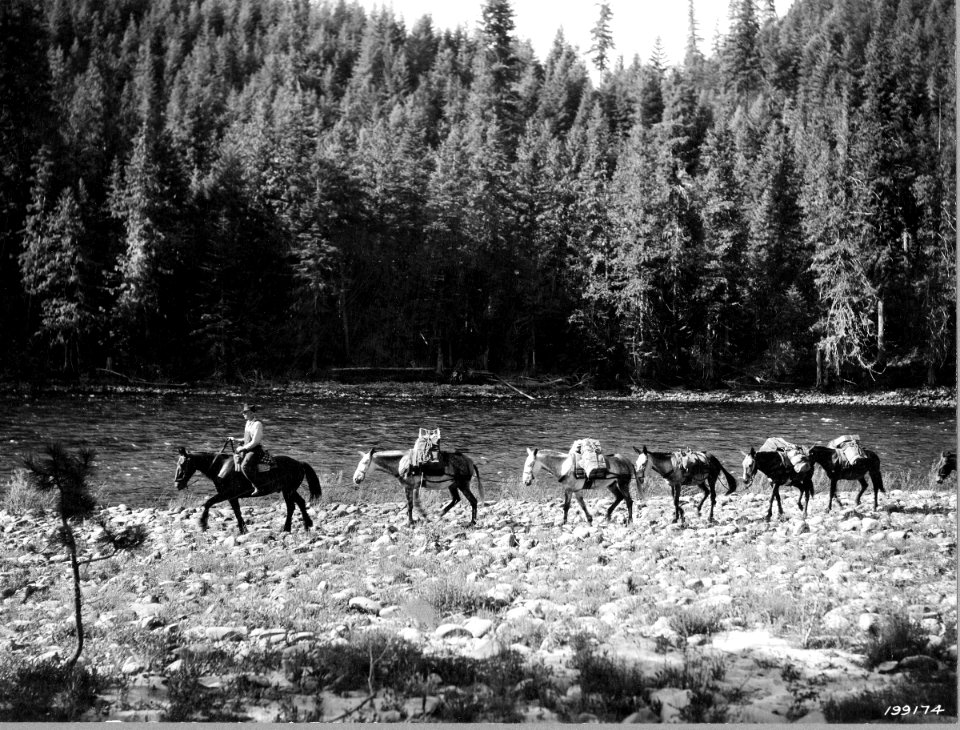 1925XXXX-FS-Idaho-KDS-199174