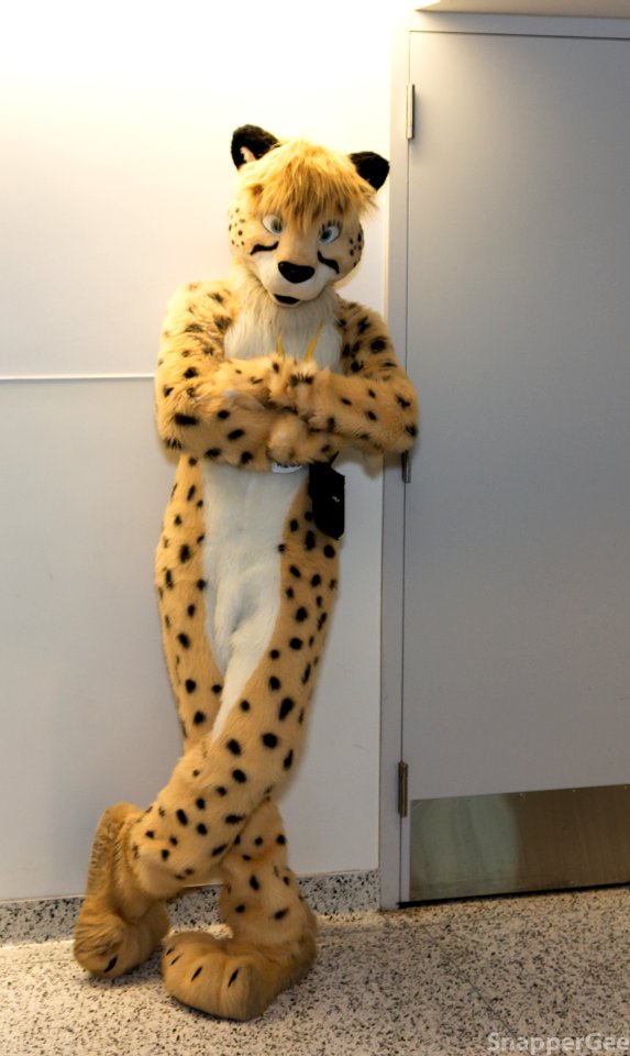 Judges You In Chee