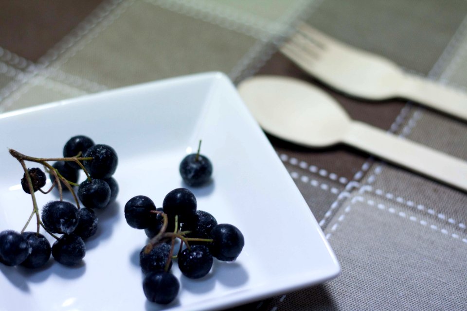 Aronia Choke-berry 아로니아 초크베리 (2)