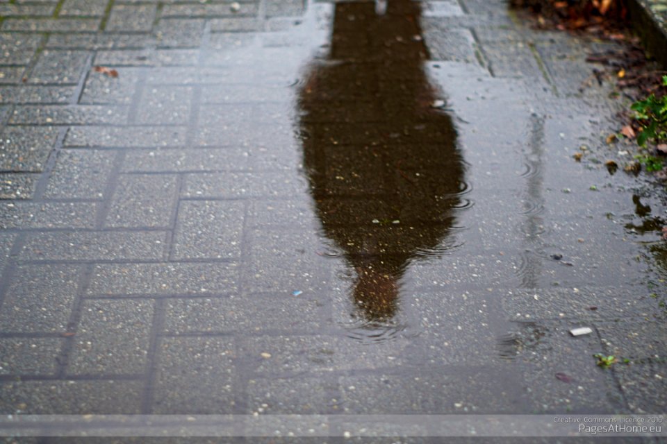 Rain Pool Reflection