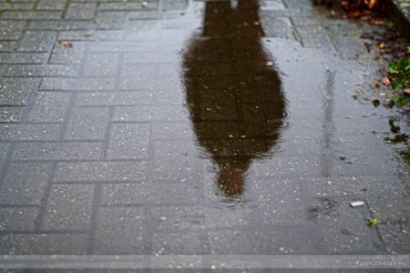 Rain Pool Reflection