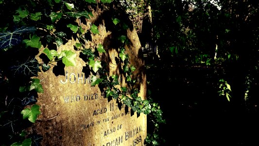 DSC00594-02 Rosary Cemetery - Norwich - UK photo