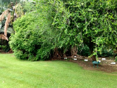 Jardim Botânico Plantarum
