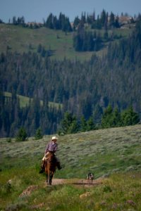 20180710-FS-Beaverhead-PJK-3127