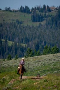 20180710-FS-Beaverhead-PJK-3127 photo