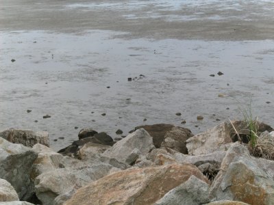 Piedras y bahia 3