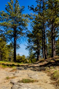 Acton Recreation Area