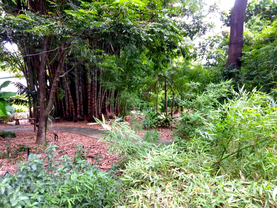 Jardim Botânico Plantarum