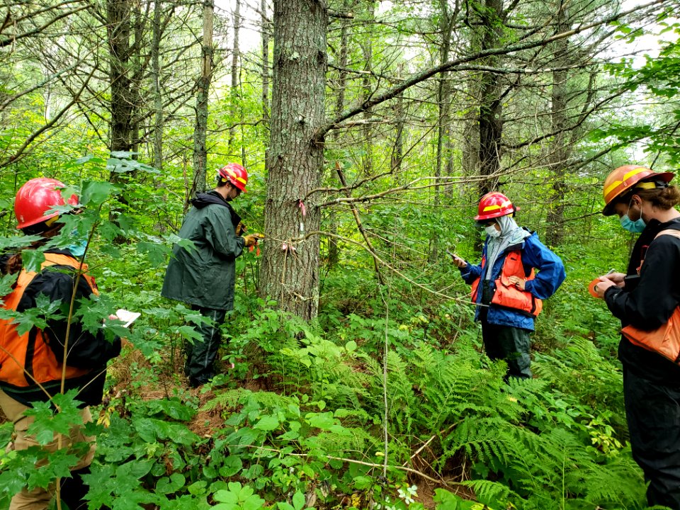 20200917-FS-Superior-Silviculture-SocialDistancing-02