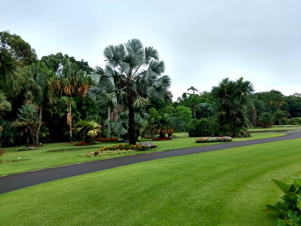 Jardim Botânico Plantarum