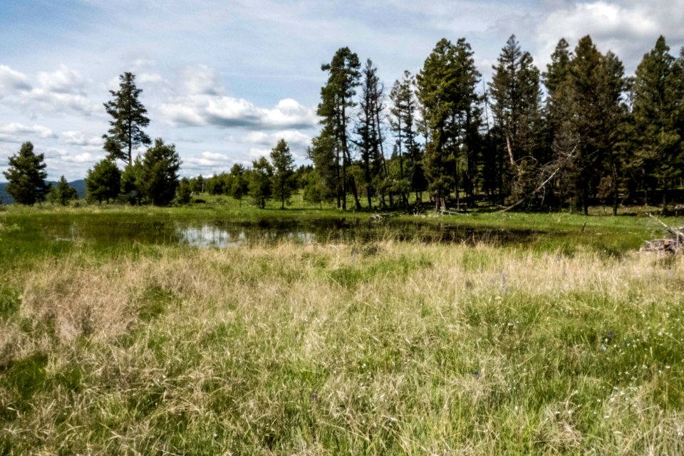Ram Mountain Backcountry Conservation Area