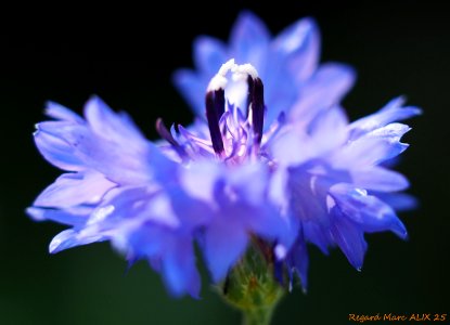P9150114B GF