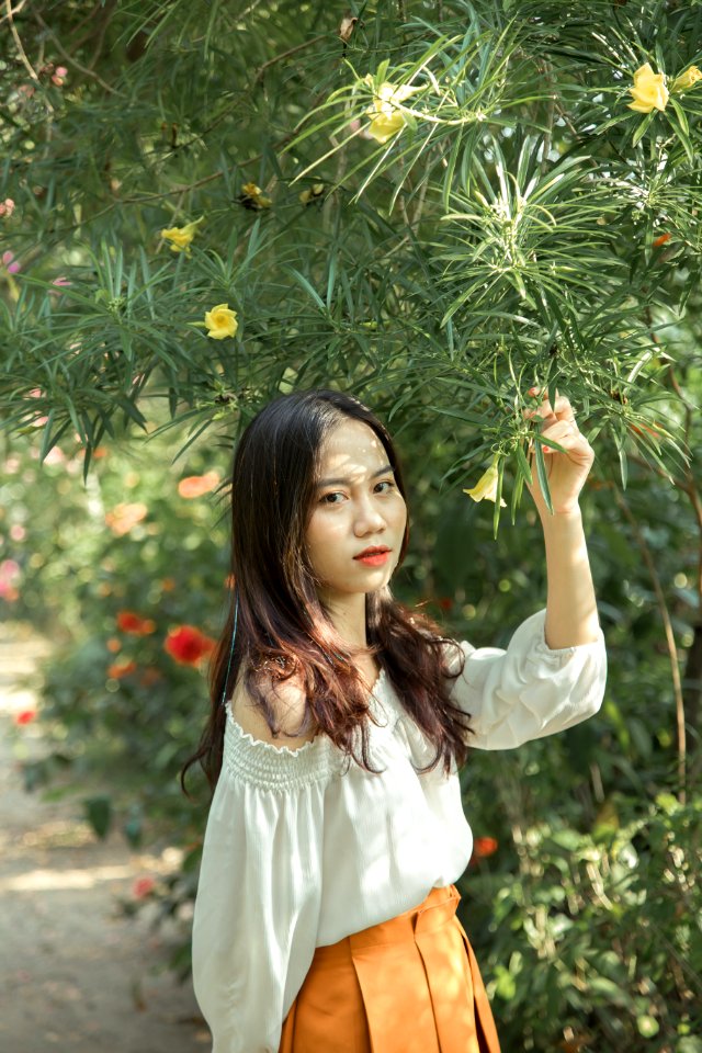 Tường Vi 2