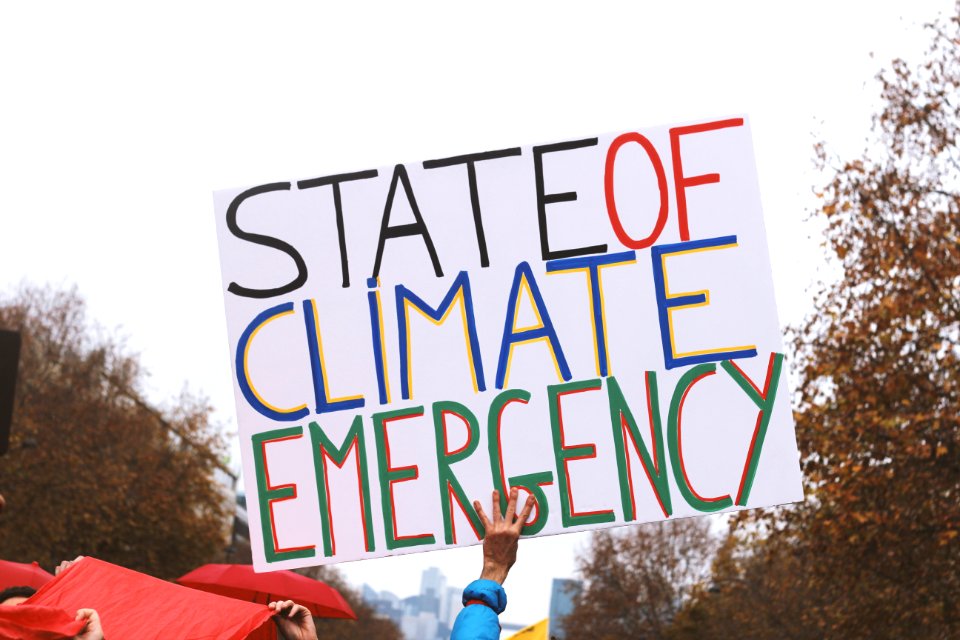 D12 Climate March