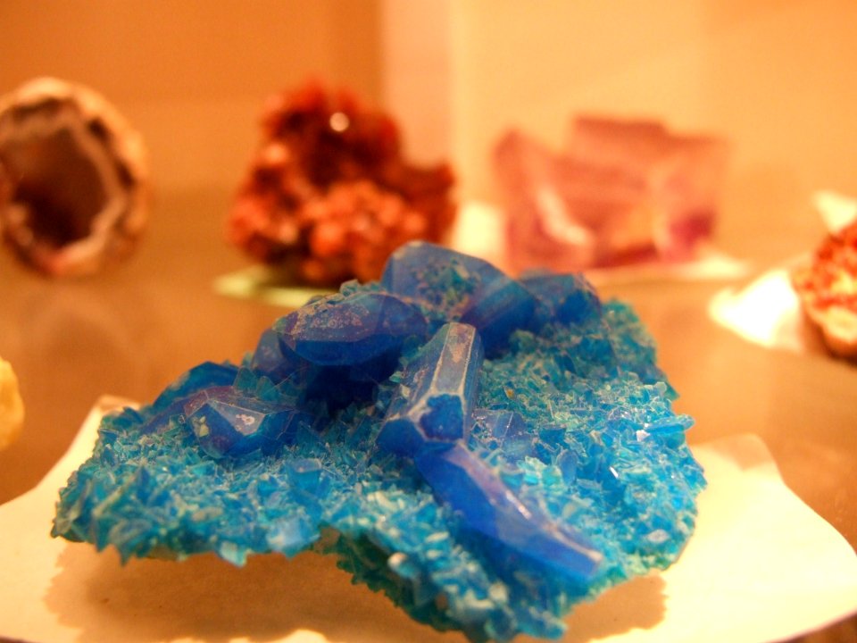 DSCF0035