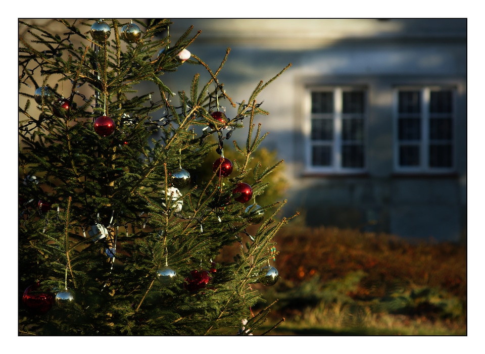 Christmas decorations light tree