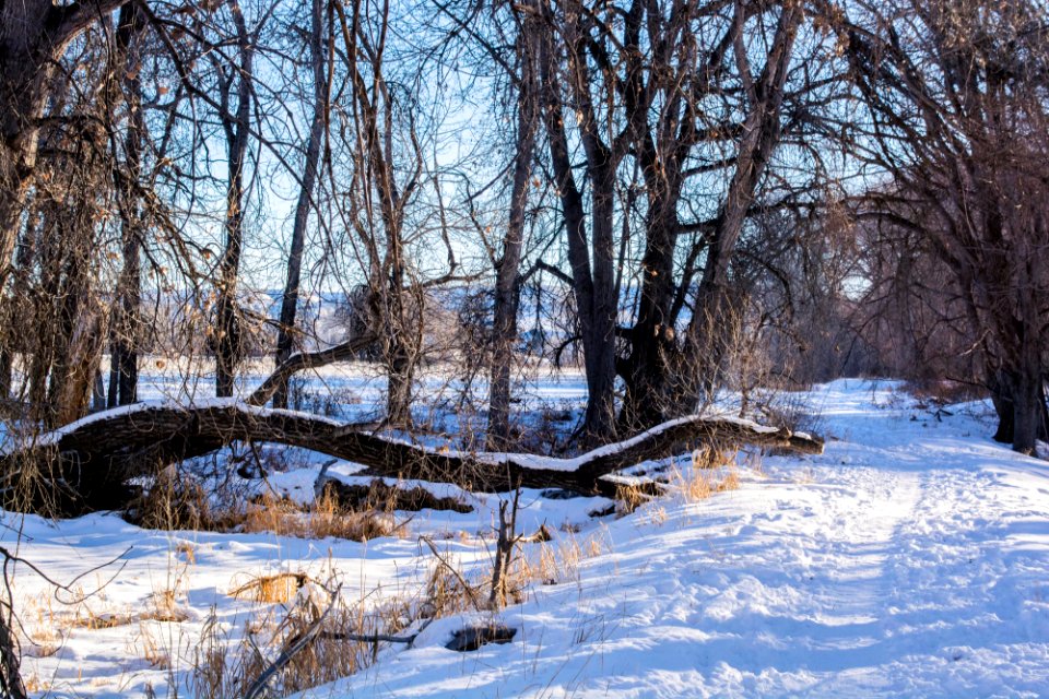 Sundance Lodge Recreation Area