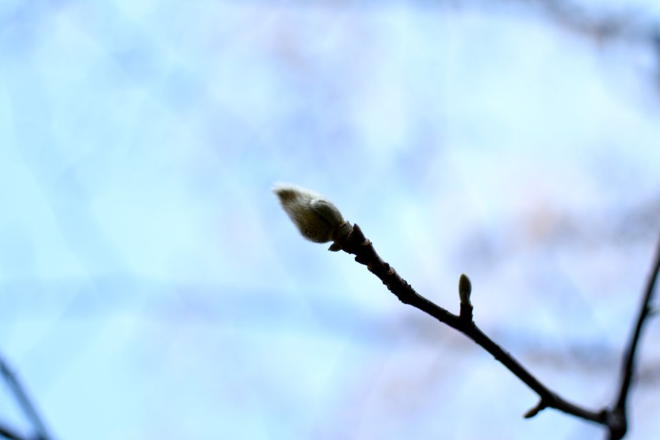 DSC 1440
