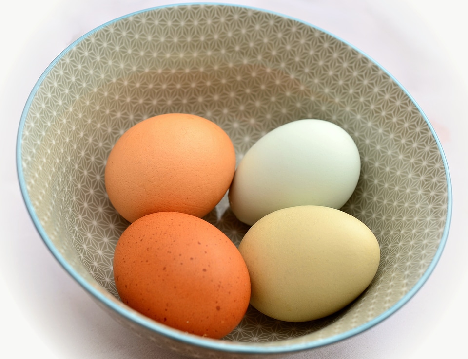 Hen's egg nutrition food