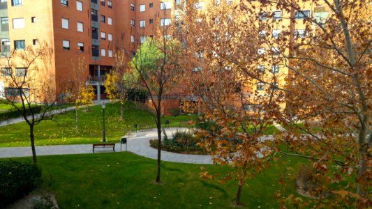 Desde mi ventana (2)