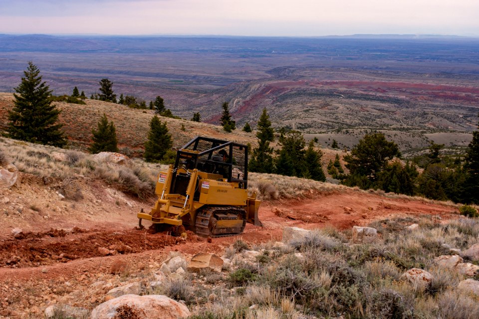 20200504 Pryor Mtns 63