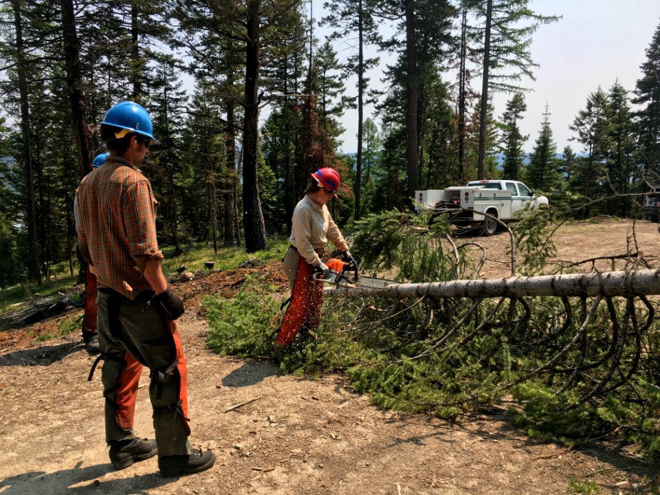 SawTraining-Flathead-May2021-001