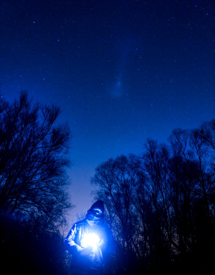 stars