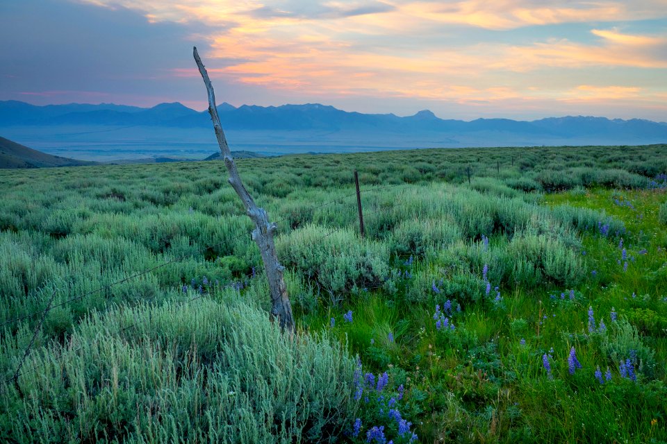 20180710-FS-Beaverhead-PJK-1189