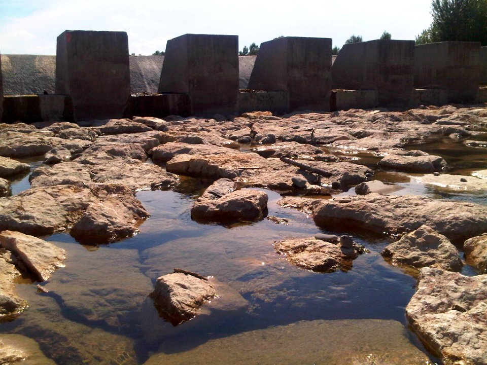IMG03526-20140716-1628