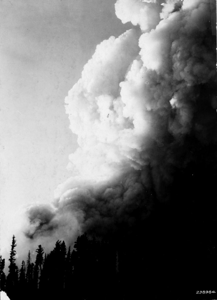 1929821-FS-Flathead-KDS-238984