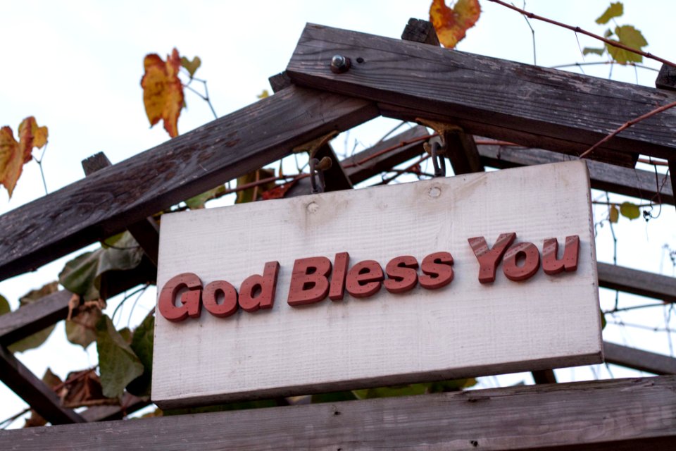 God bless you 갓블레스유 축복
