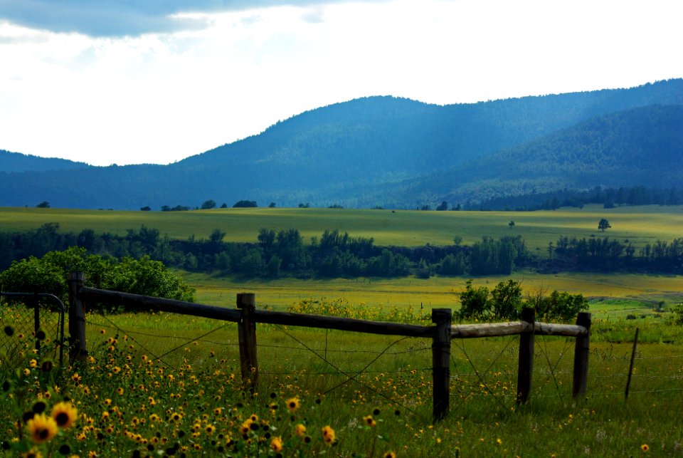 20100822-FS-Coconino-GG-005