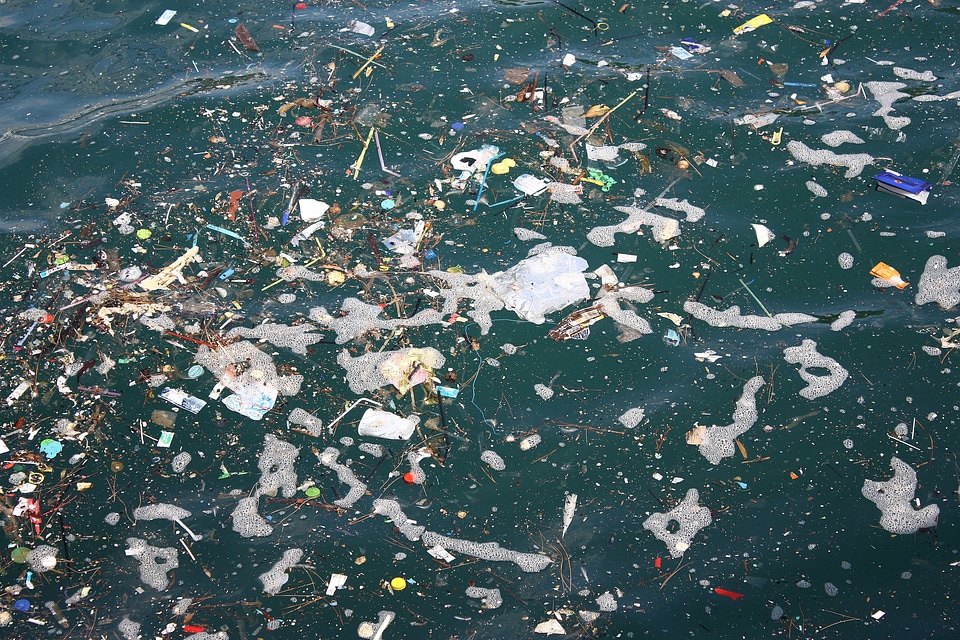 Oats garbage pollution