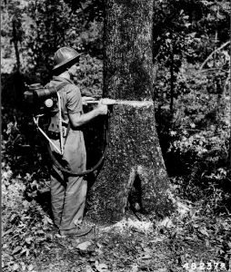 195609XX-FS-Alabama-HHM-482372