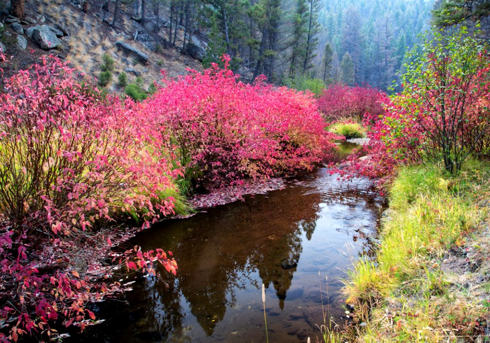 humbug spires moose ck FallColors  Photo by Bob Wick of California BLM
