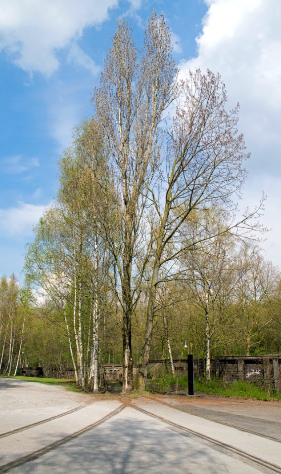 2016-04-14-003-Landschaftspark Duisburg-Nord
