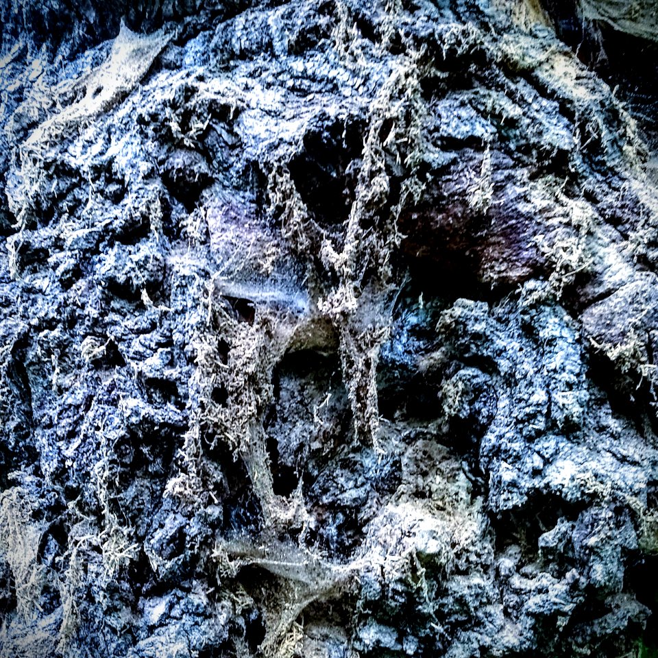 Lair of the whispering witch