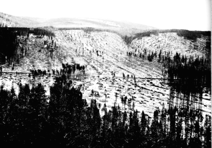 190807XX-FS-Deerlodge-ABR-75949
