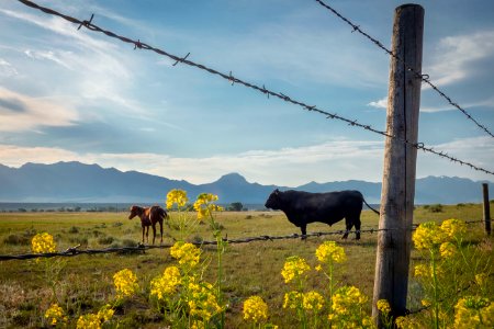 20180710-FS-Beaverhead-PJK-2183