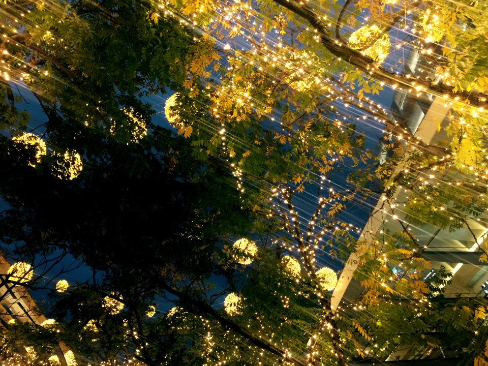 Mexico City - Polanco