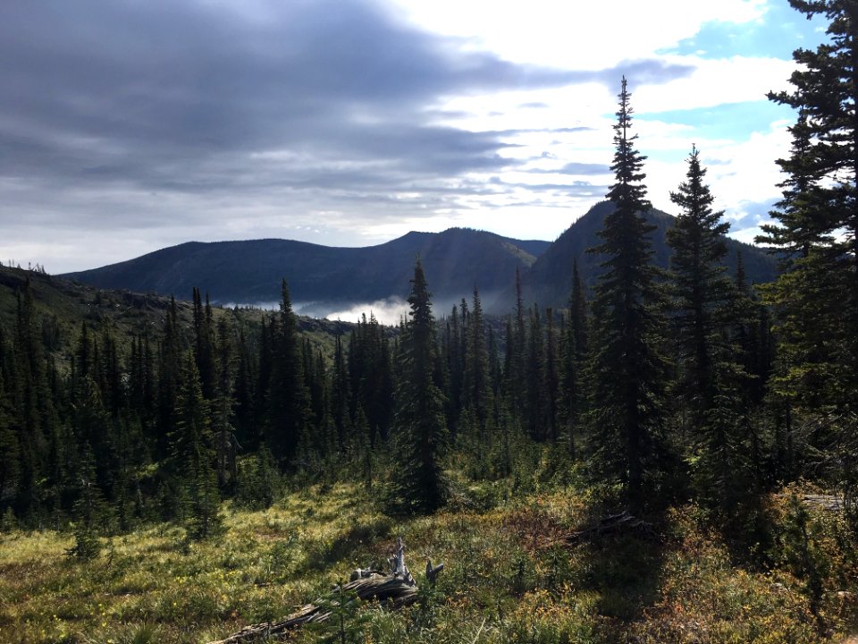 DevilCreekTrail-Flathead-Dec2020-001