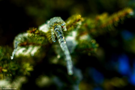 Icicle from underneath