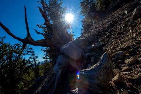 20181019-FS-Inyo-CMR-011