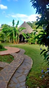 Garden in Managua