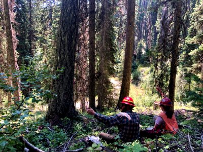 ForestServiceMembersJohnsonPeak-Flathead-May2020-001