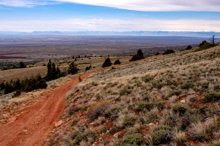 20200504 Pryor Mtns 172