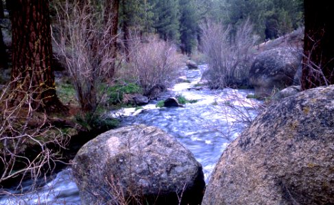 2010XXXX-FS-Inyo NF-Owens R-TP-001